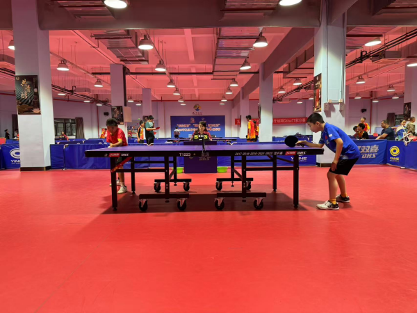 不可忽视的 不可忽视的